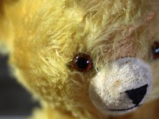 画像8: Knickerbocker オルゴールBear/American (8)