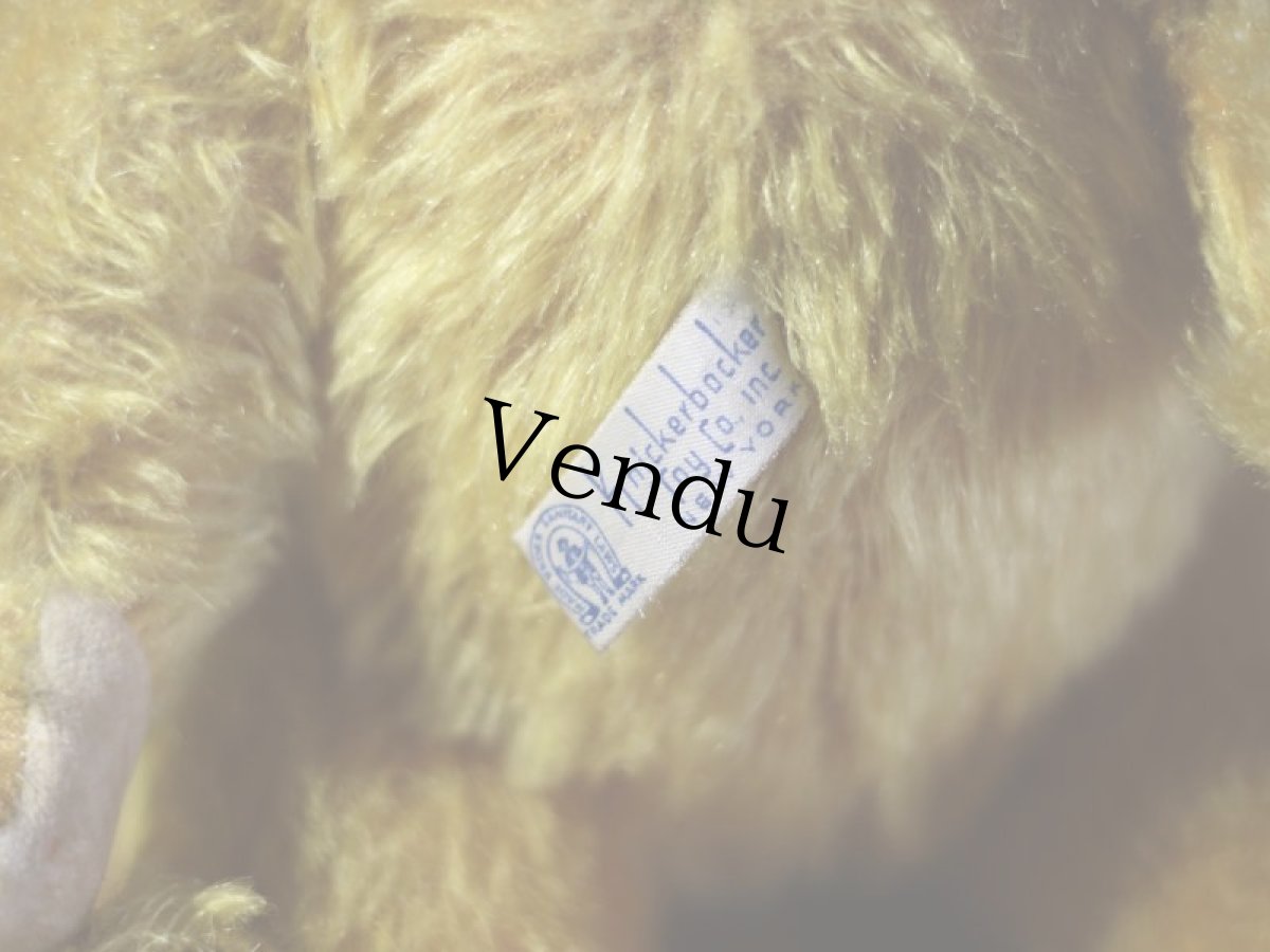 画像7: Knickerbocker オルゴールBear/American (7)