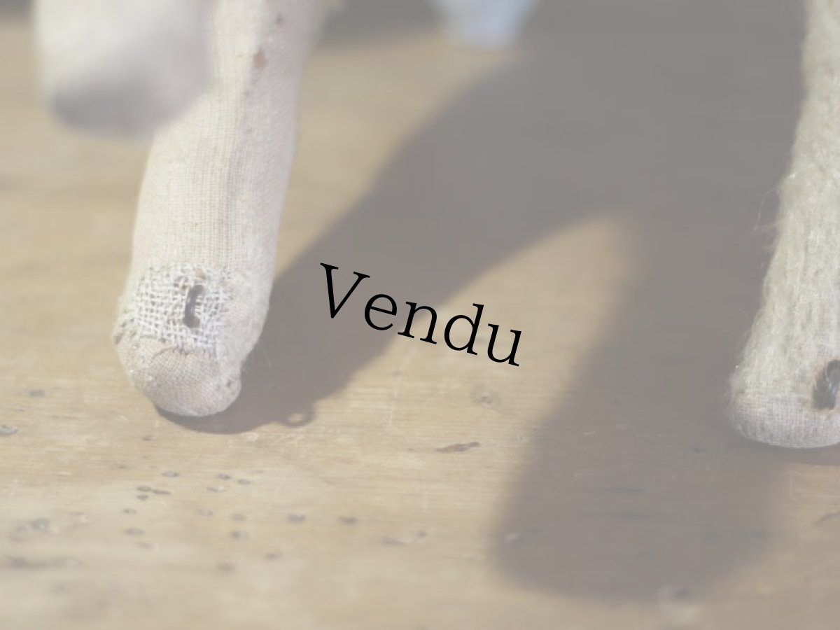 画像8: テリア/German (8)