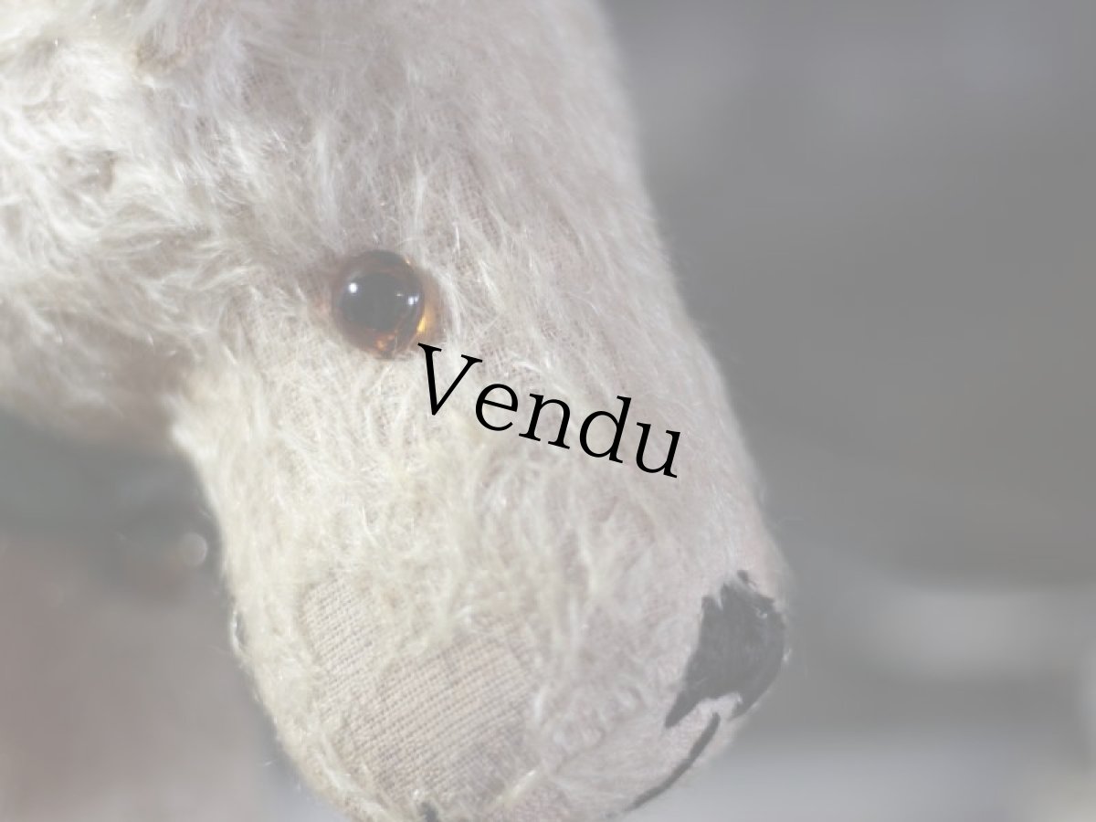 画像3: テリア/German (3)