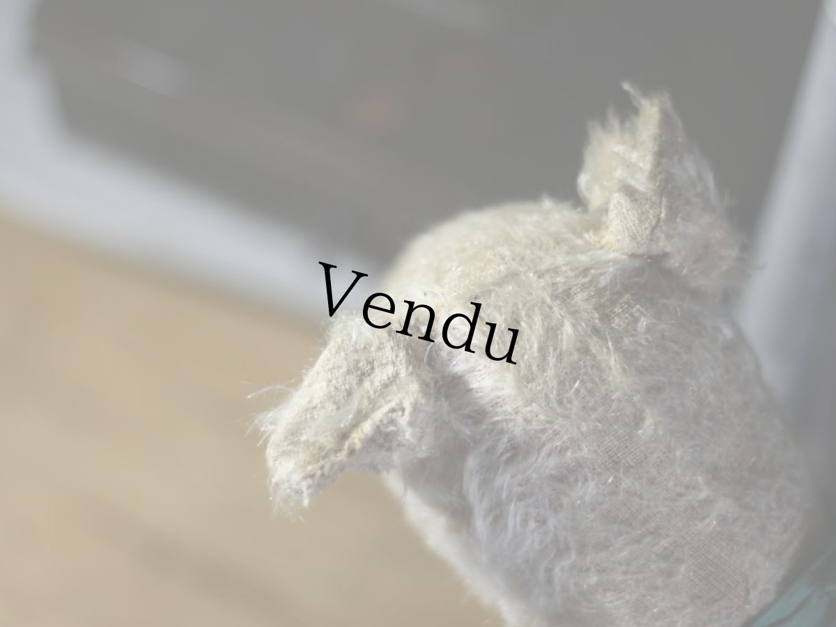 画像11: テリア/German (11)