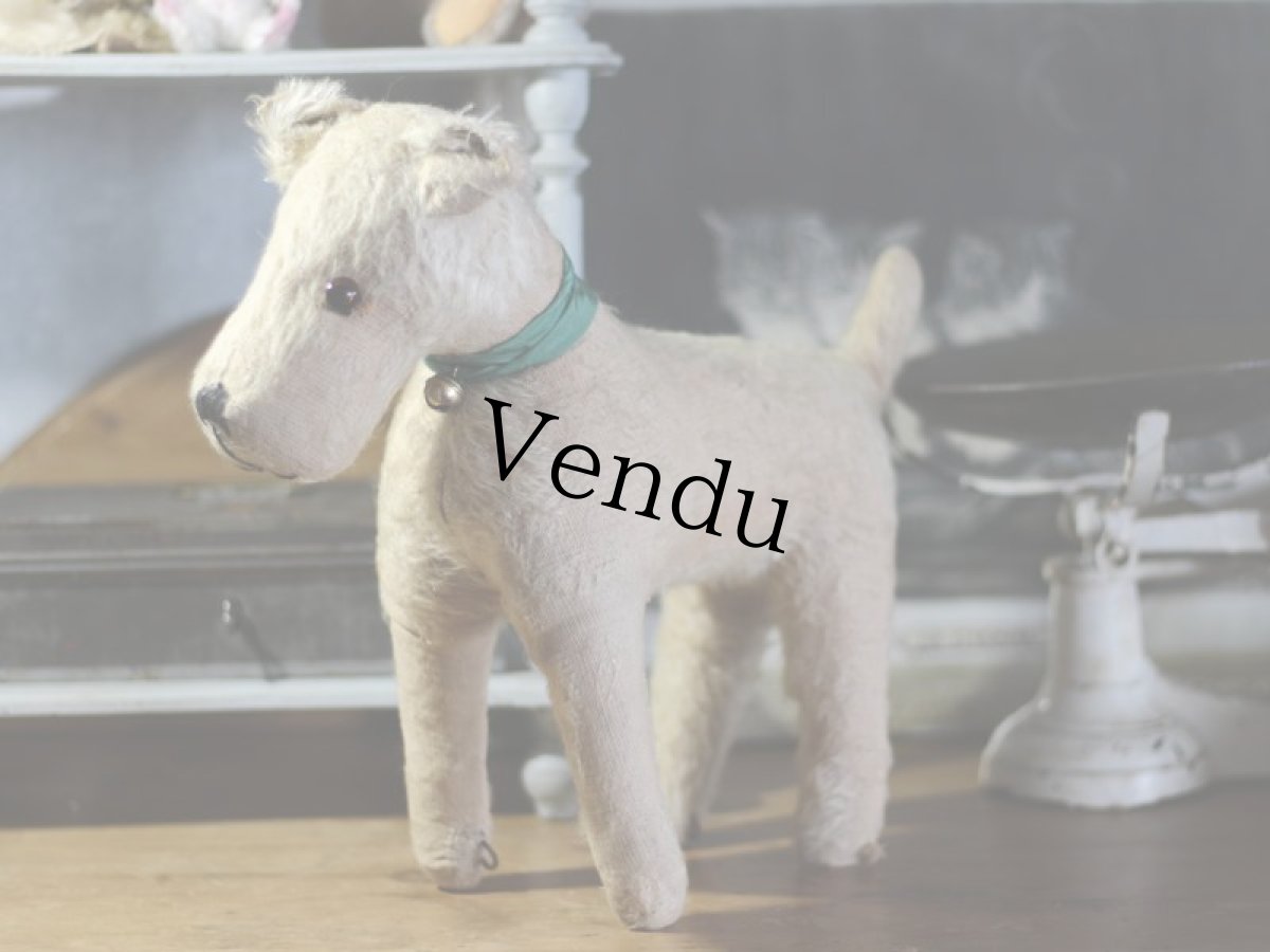 画像5: テリア/German (5)