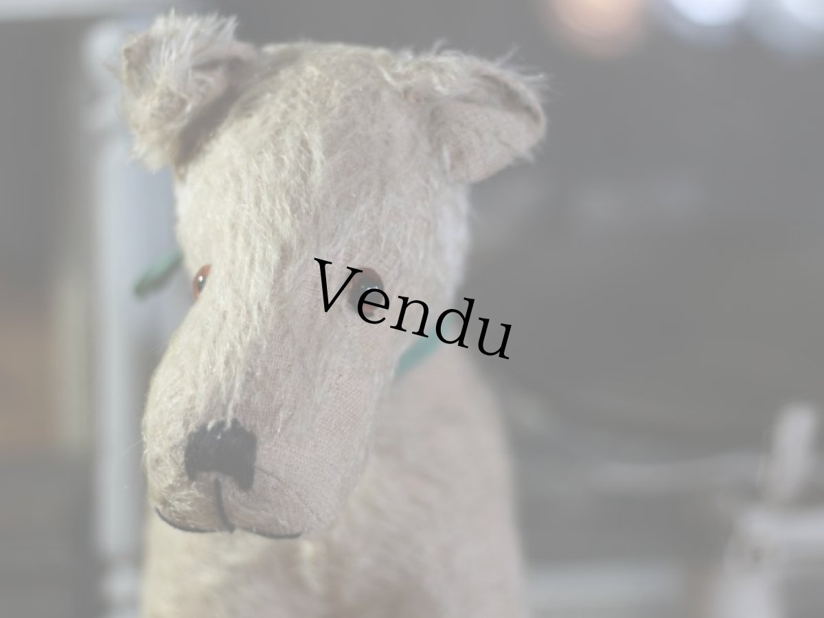 画像4: テリア/German (4)