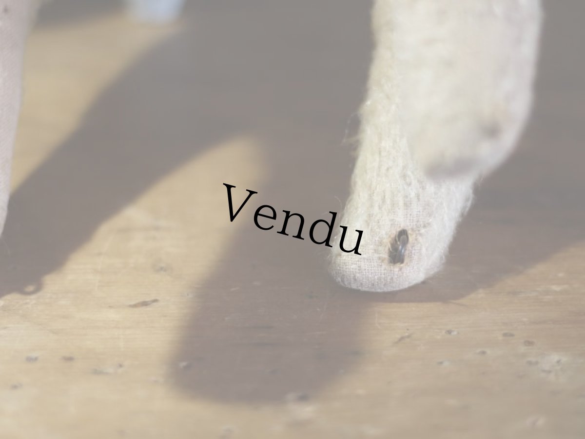 画像9: テリア/German (9)