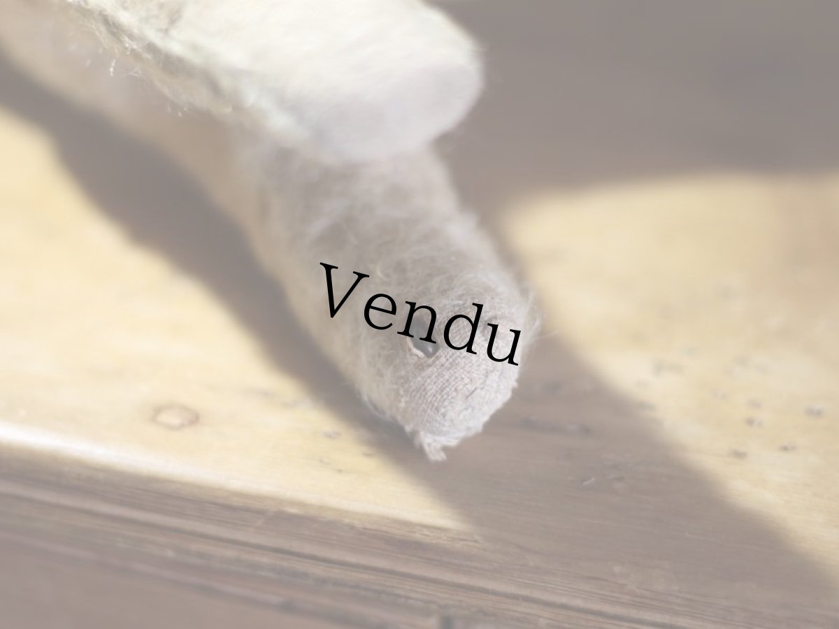 画像10: テリア/German (10)