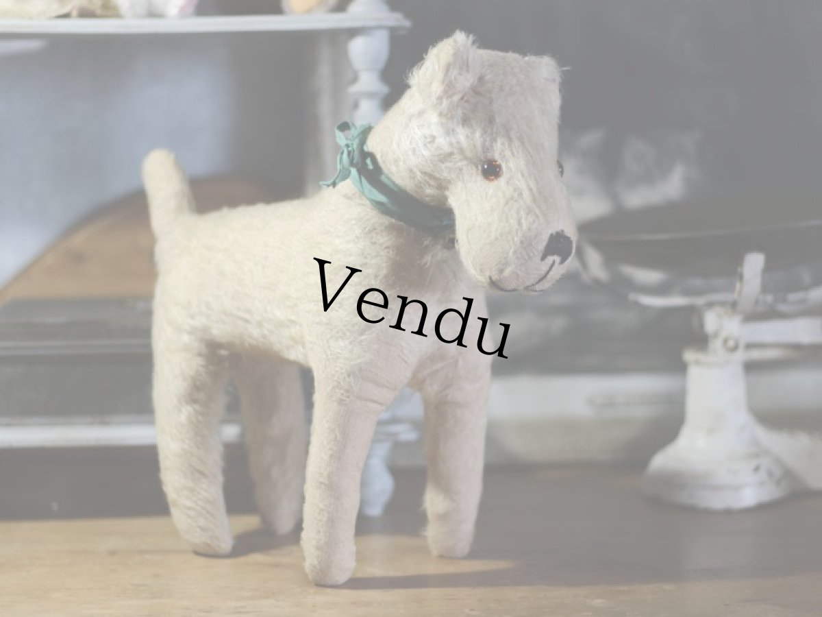 画像6: テリア/German (6)