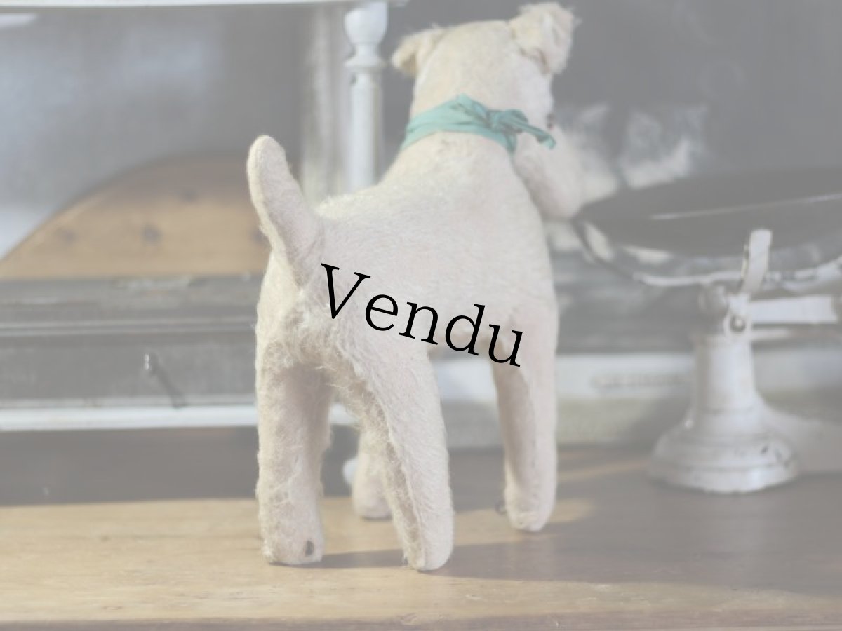 画像7: テリア/German (7)