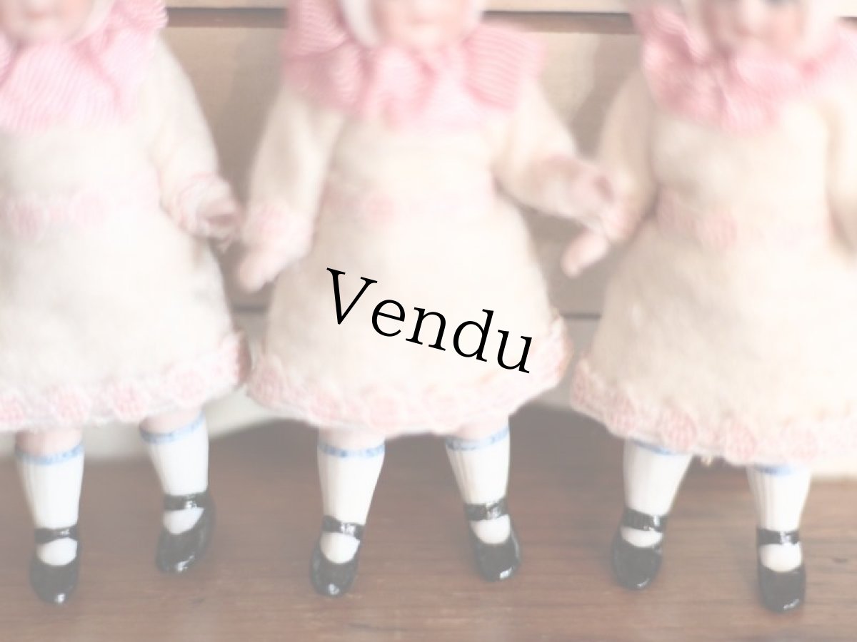 画像3: うさぎの着ぐるみミニョネット (3)