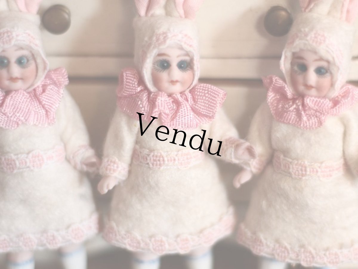 画像2: うさぎの着ぐるみミニョネット (2)