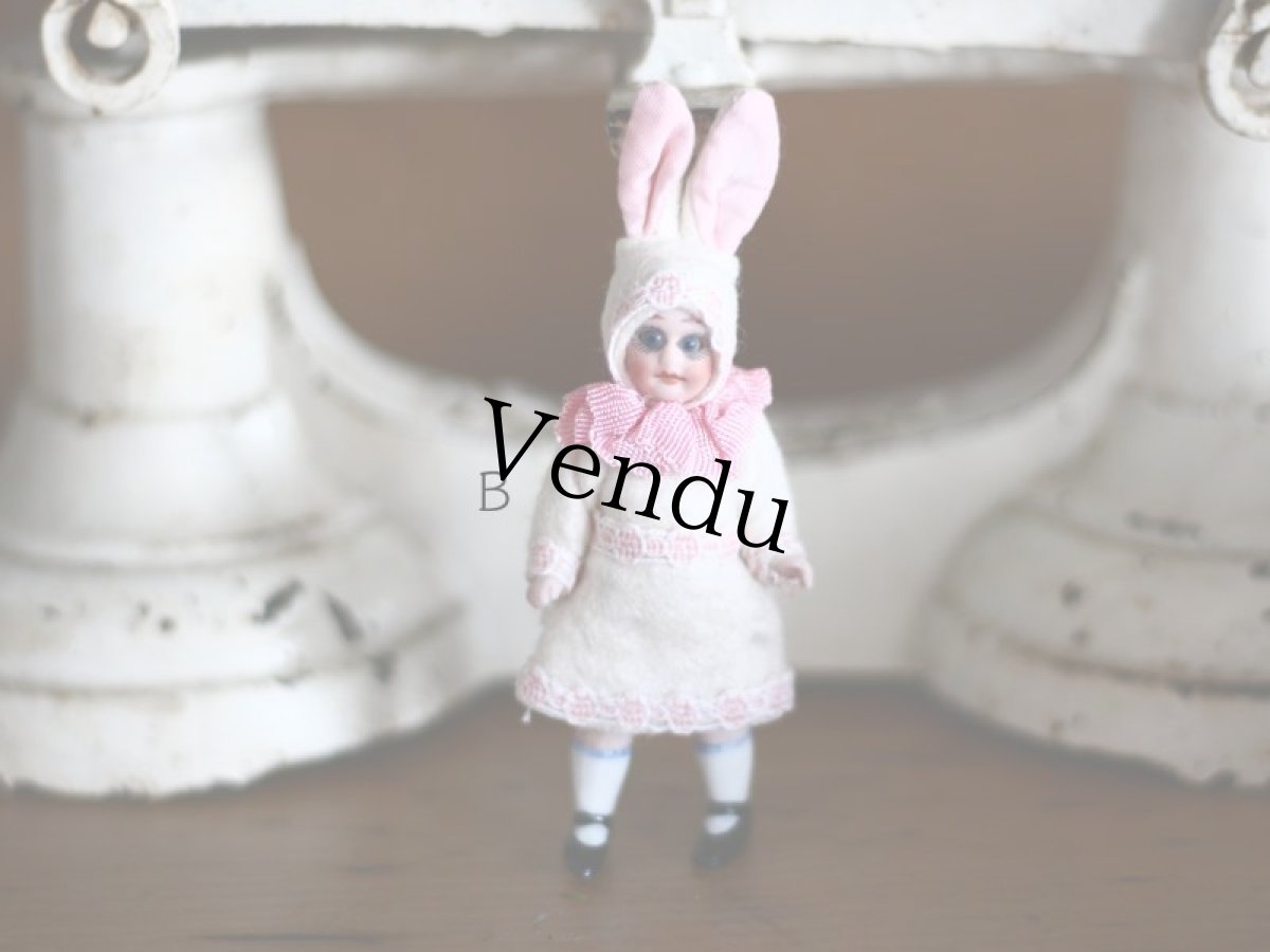 画像1: うさぎの着ぐるみミニョネットA~G (1)