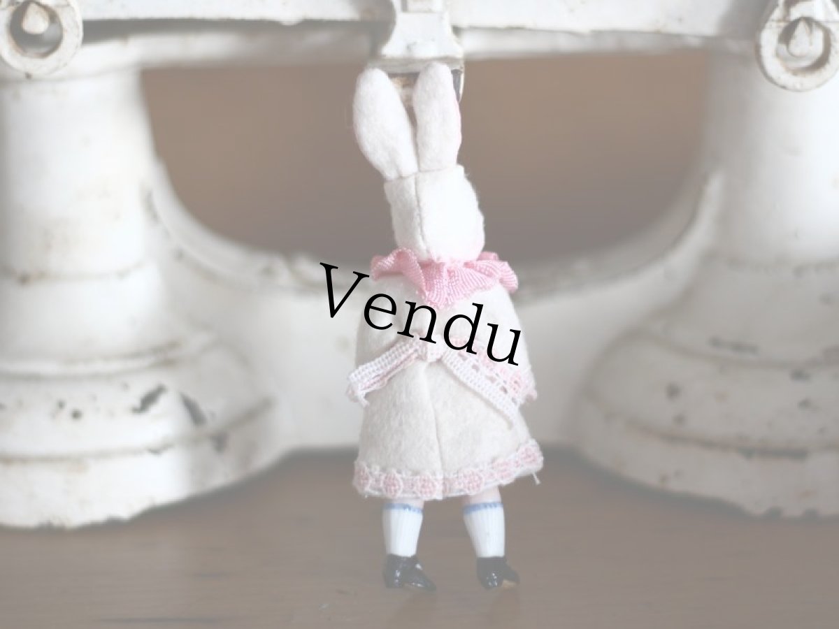 画像2: うさぎの着ぐるみミニョネットA~G (2)