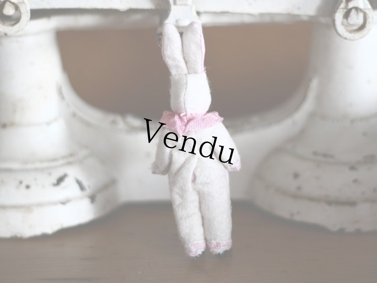 画像5: うさぎの着ぐるみミニョネットA~G (5)