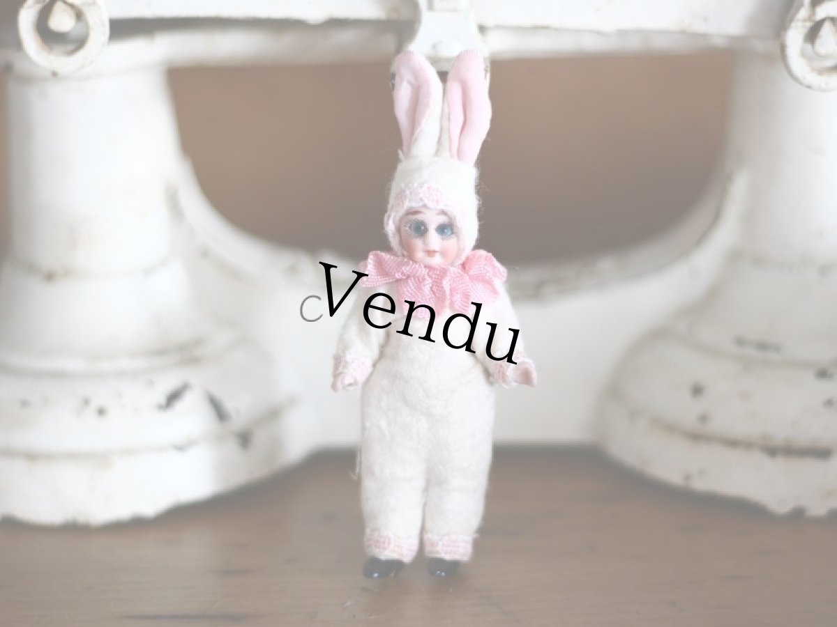 画像4: うさぎの着ぐるみミニョネットA~G (4)