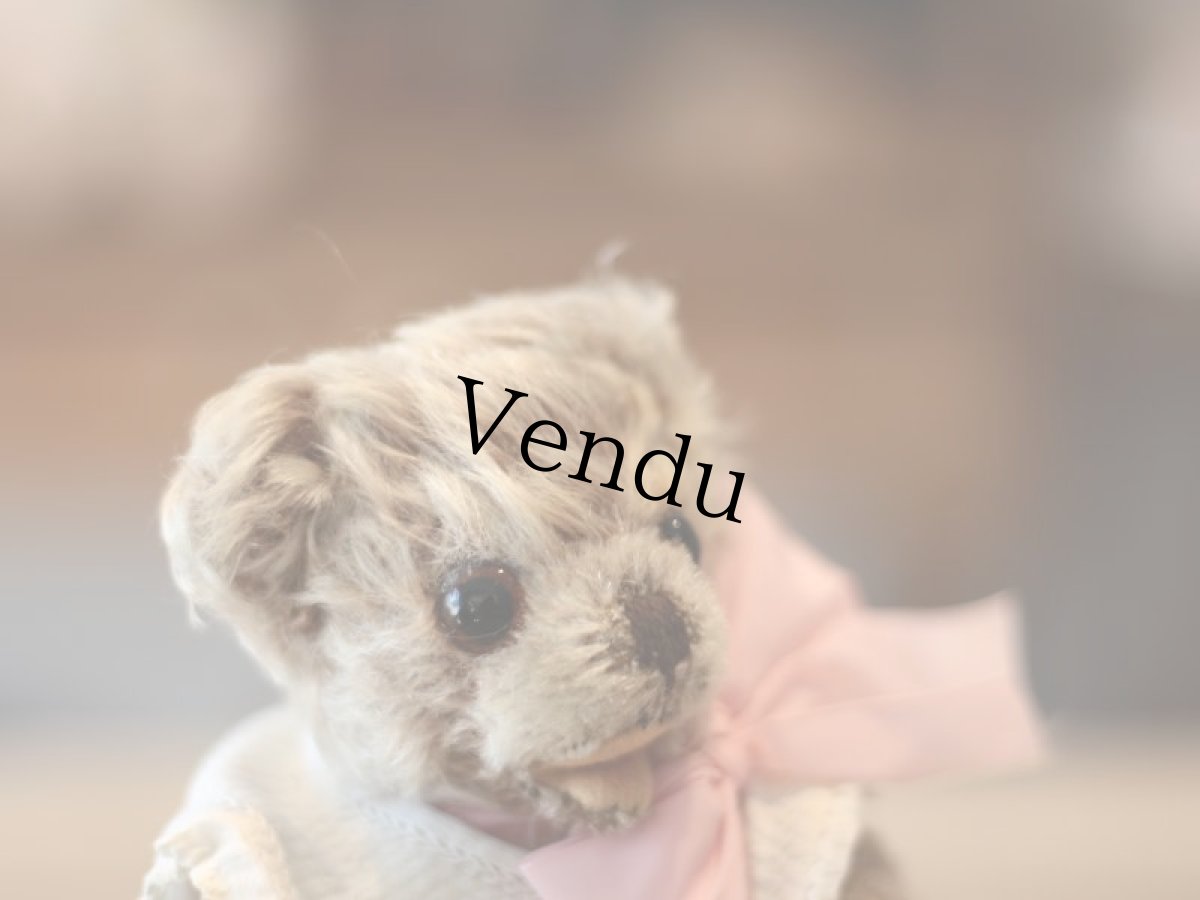 画像4: German Open Mouth Zottig Bear mini/bib (4)