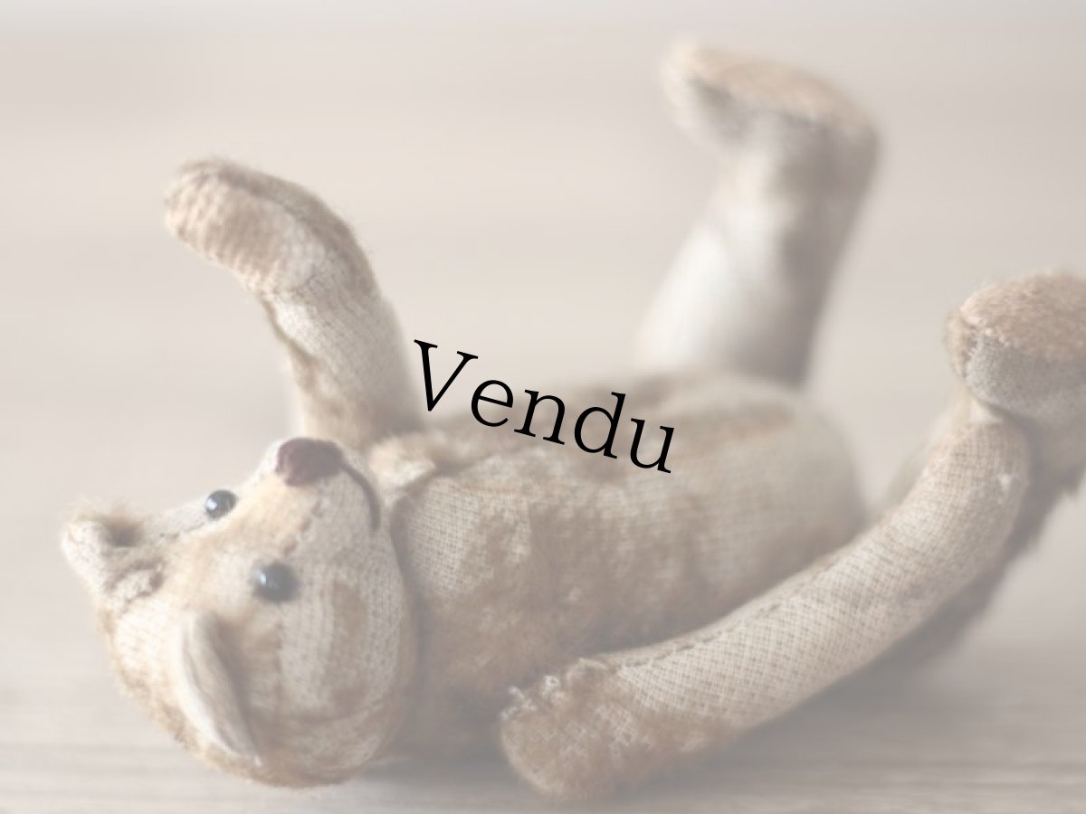 画像9: Vintage French Bear Beige S (9)