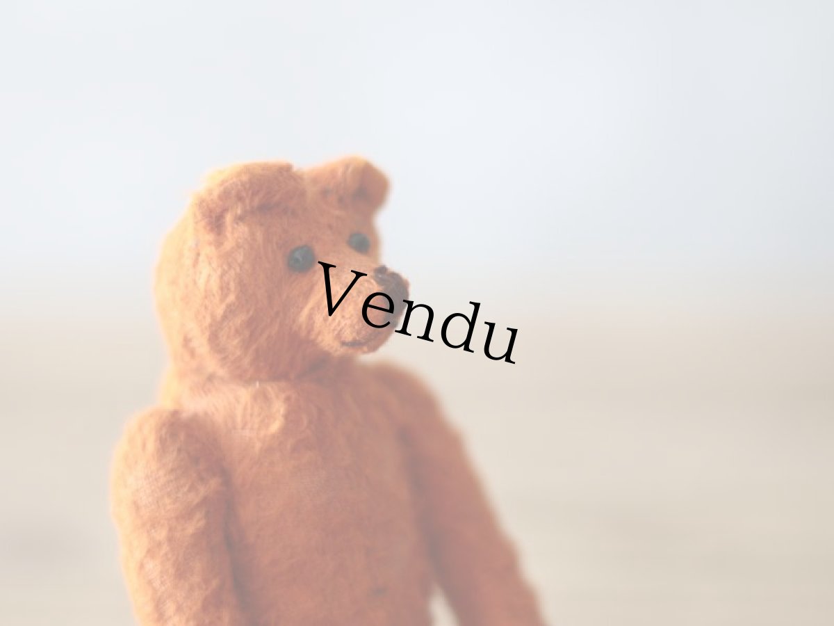 画像10: Vintage Frech Bear Orange S (10)