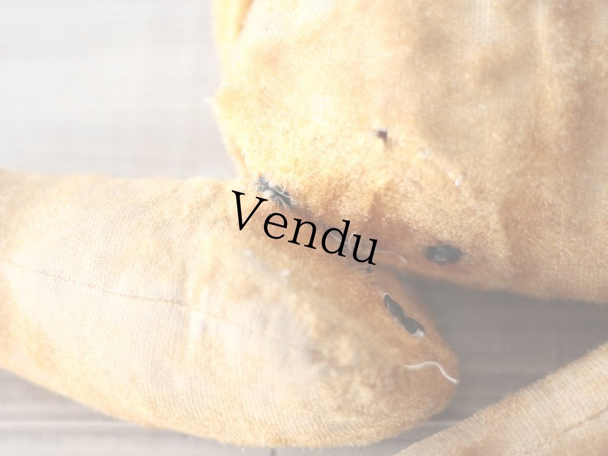 画像10: French Bear/紺のリボン (10)