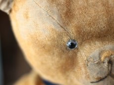 画像13: French Bear/紺のリボン (13)