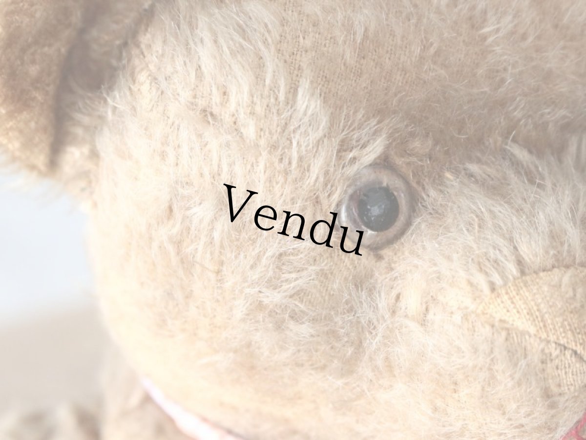 画像6: Hさま専用カート//French Bear/国旗ピン付き (6)