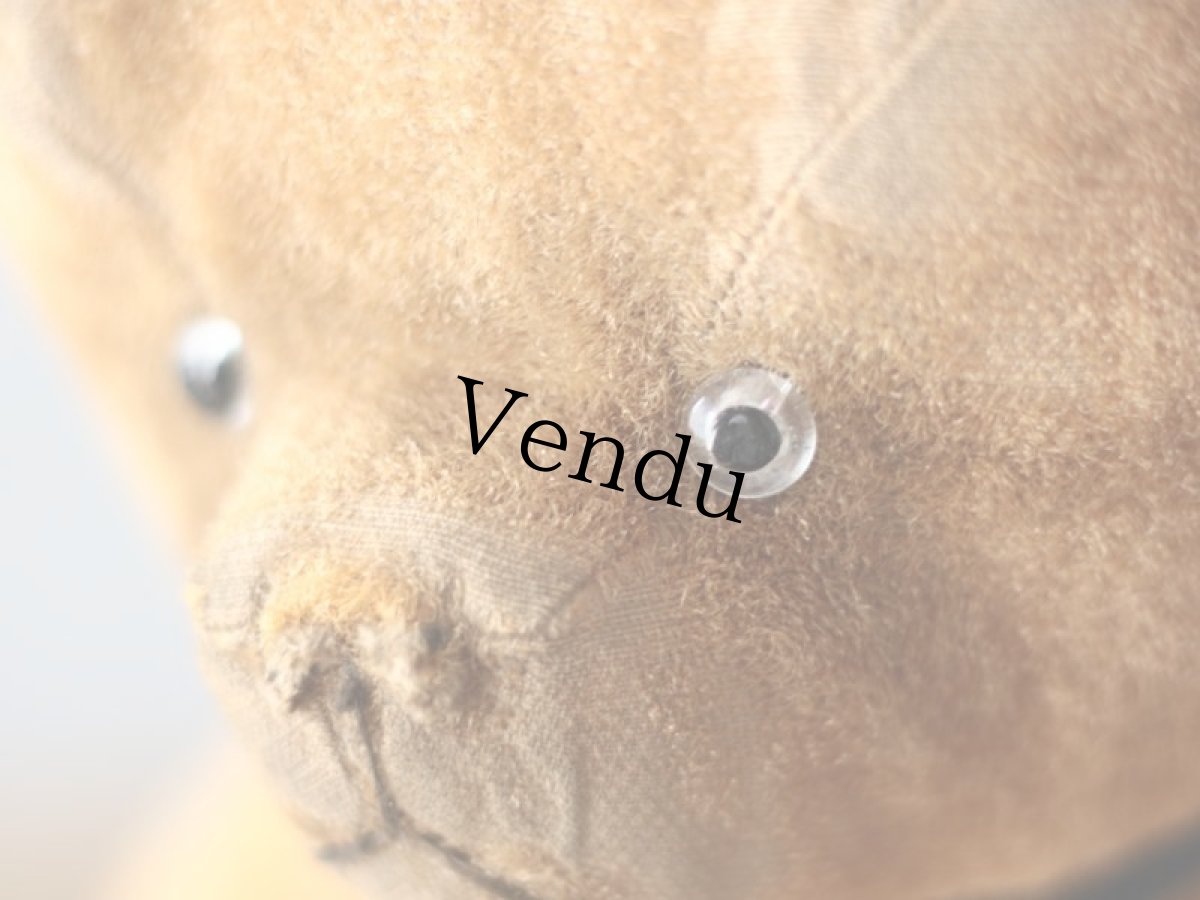 画像12: French Bear/紺のリボン (12)