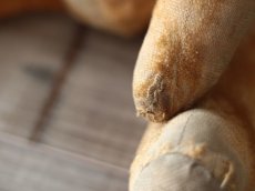 画像4: French Bear/紺のリボン (4)