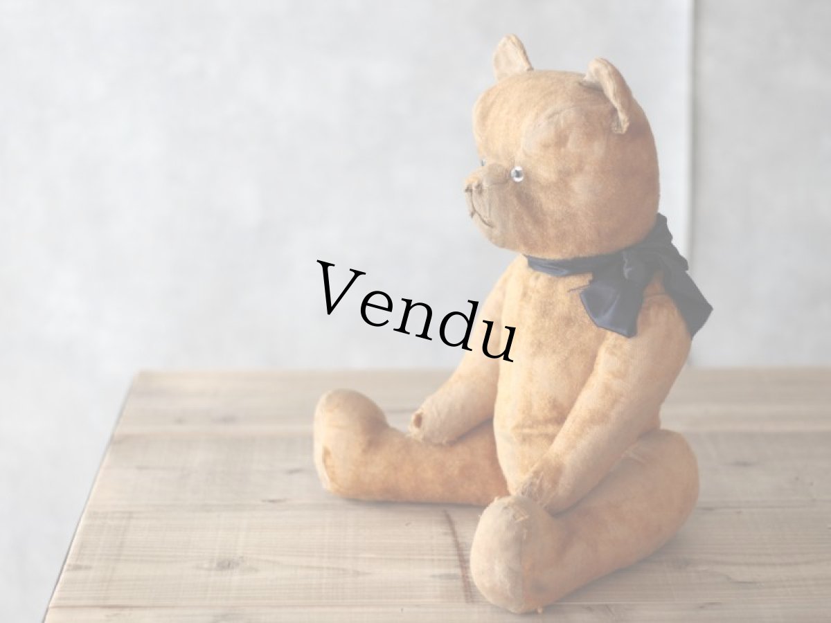 画像8: French Bear/紺のリボン (8)