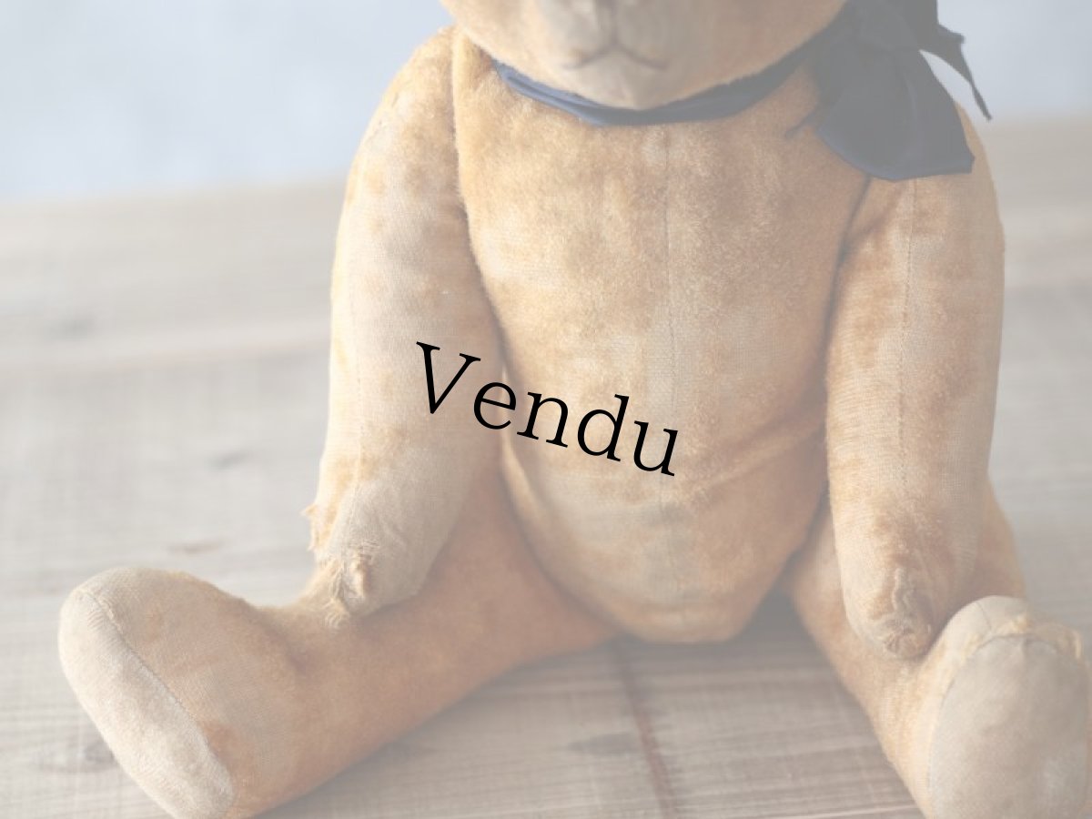 画像6: French Bear/紺のリボン (6)