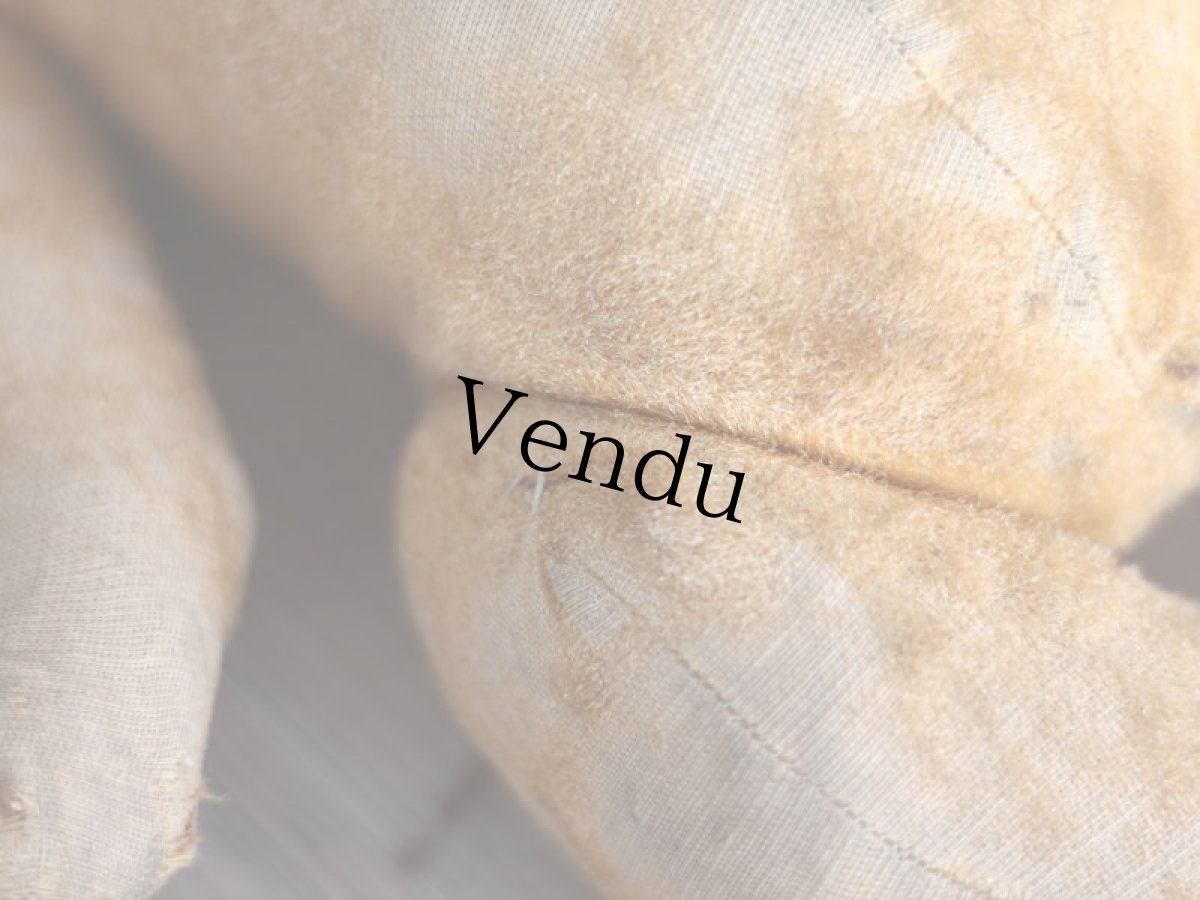 画像11: French Bear/紺のリボン (11)