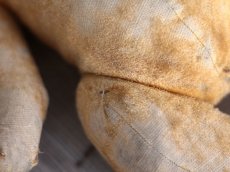 画像11: French Bear/紺のリボン (11)