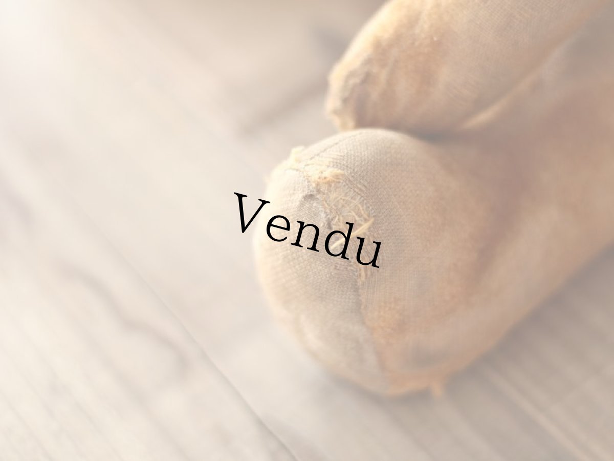 画像5: French Bear/紺のリボン (5)