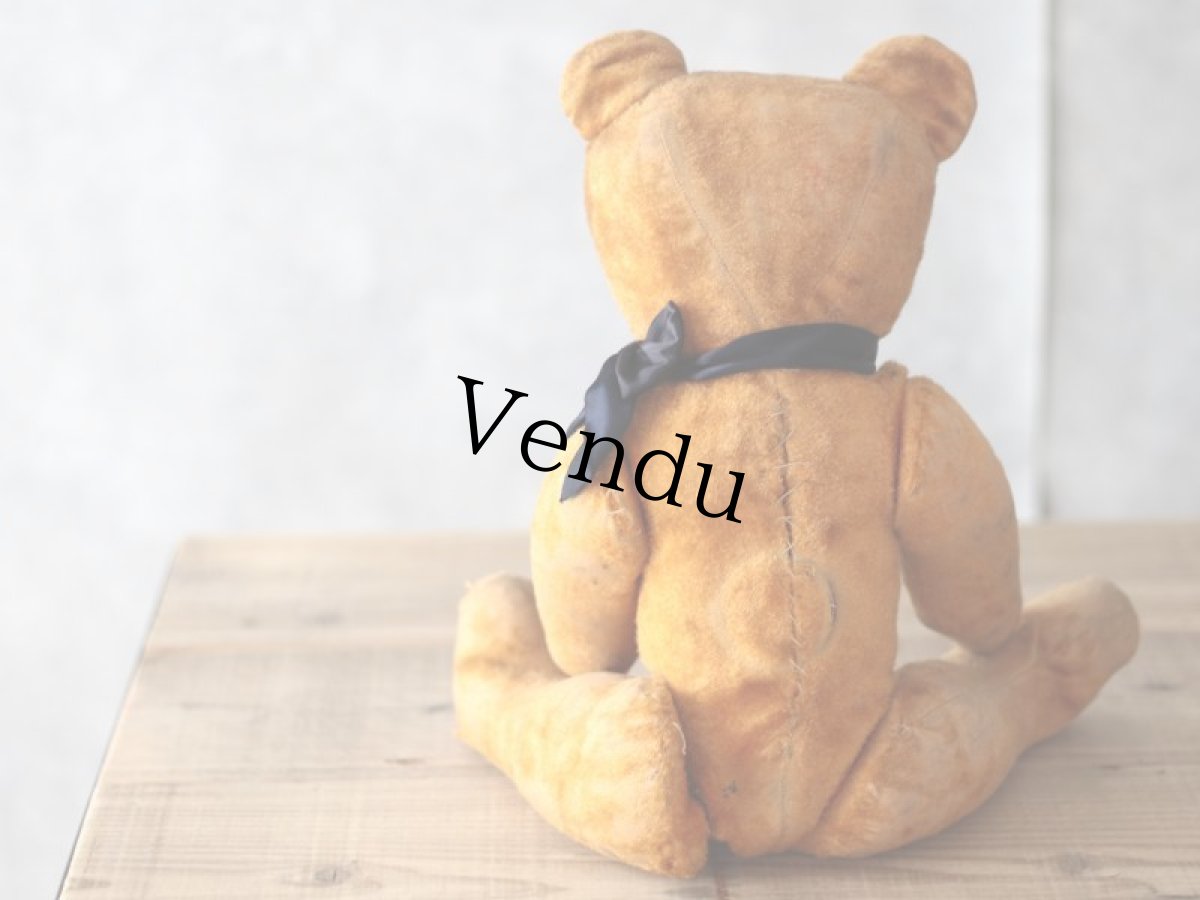 画像9: French Bear/紺のリボン (9)