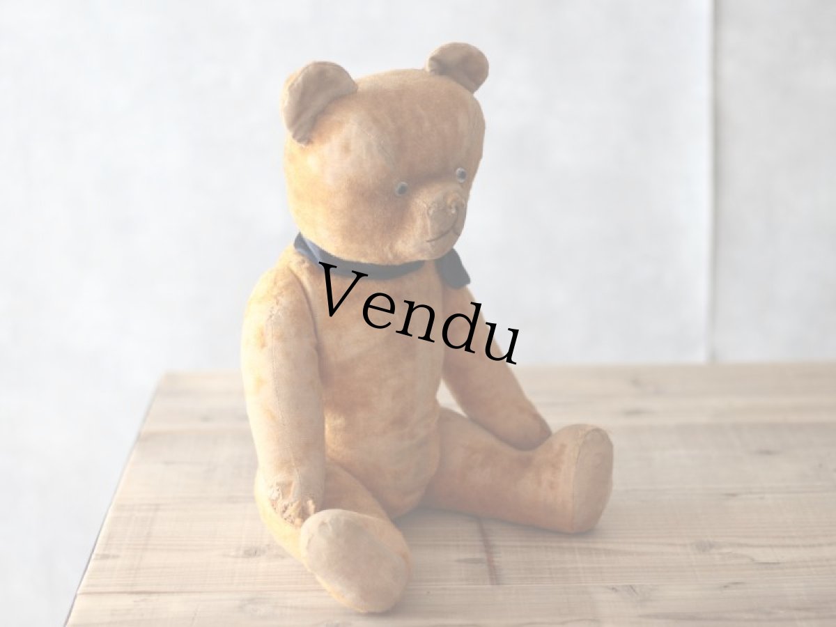 画像7: French Bear/紺のリボン (7)