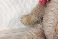 画像4: French Bear/ピンクリボン (4)