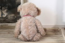 画像8: French Bear/ピンクリボン (8)