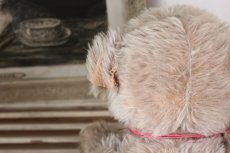 画像9: French Bear/ピンクリボン (9)