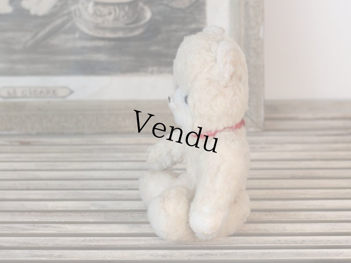 画像11: 赤い首輪のフレンチベア (11)