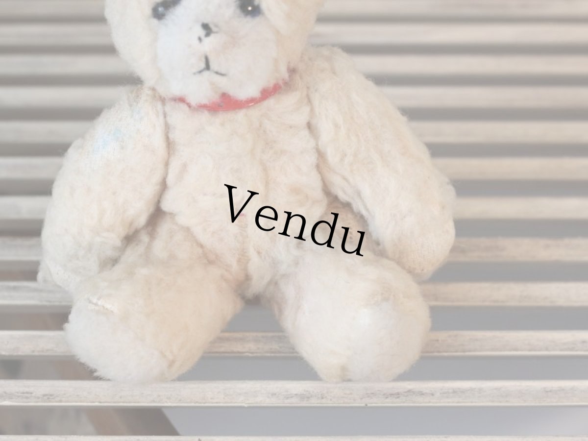 画像6: 赤い首輪のフレンチベア (6)