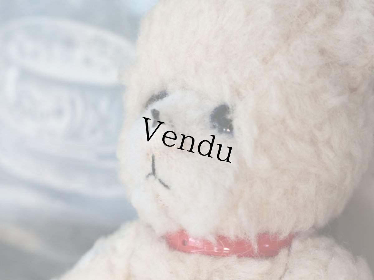 画像5: 赤い首輪のフレンチベア (5)