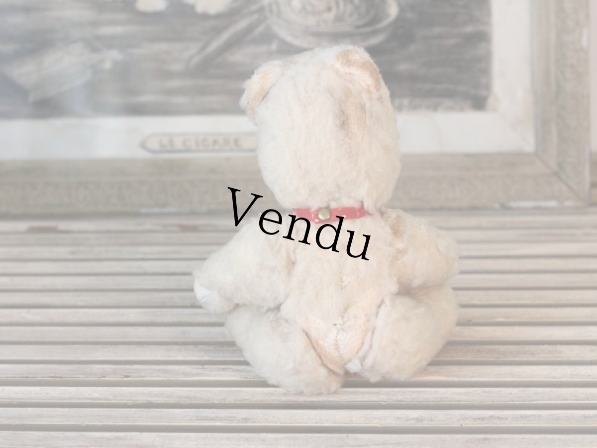 画像12: 赤い首輪のフレンチベア (12)