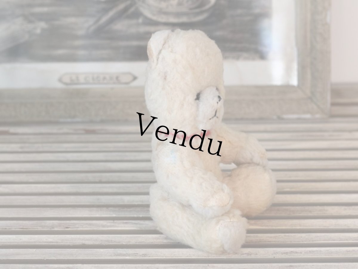 画像10: 赤い首輪のフレンチベア (10)