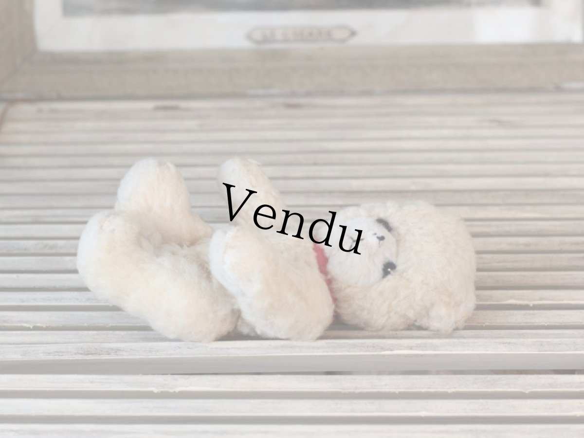 画像14: 赤い首輪のフレンチベア (14)