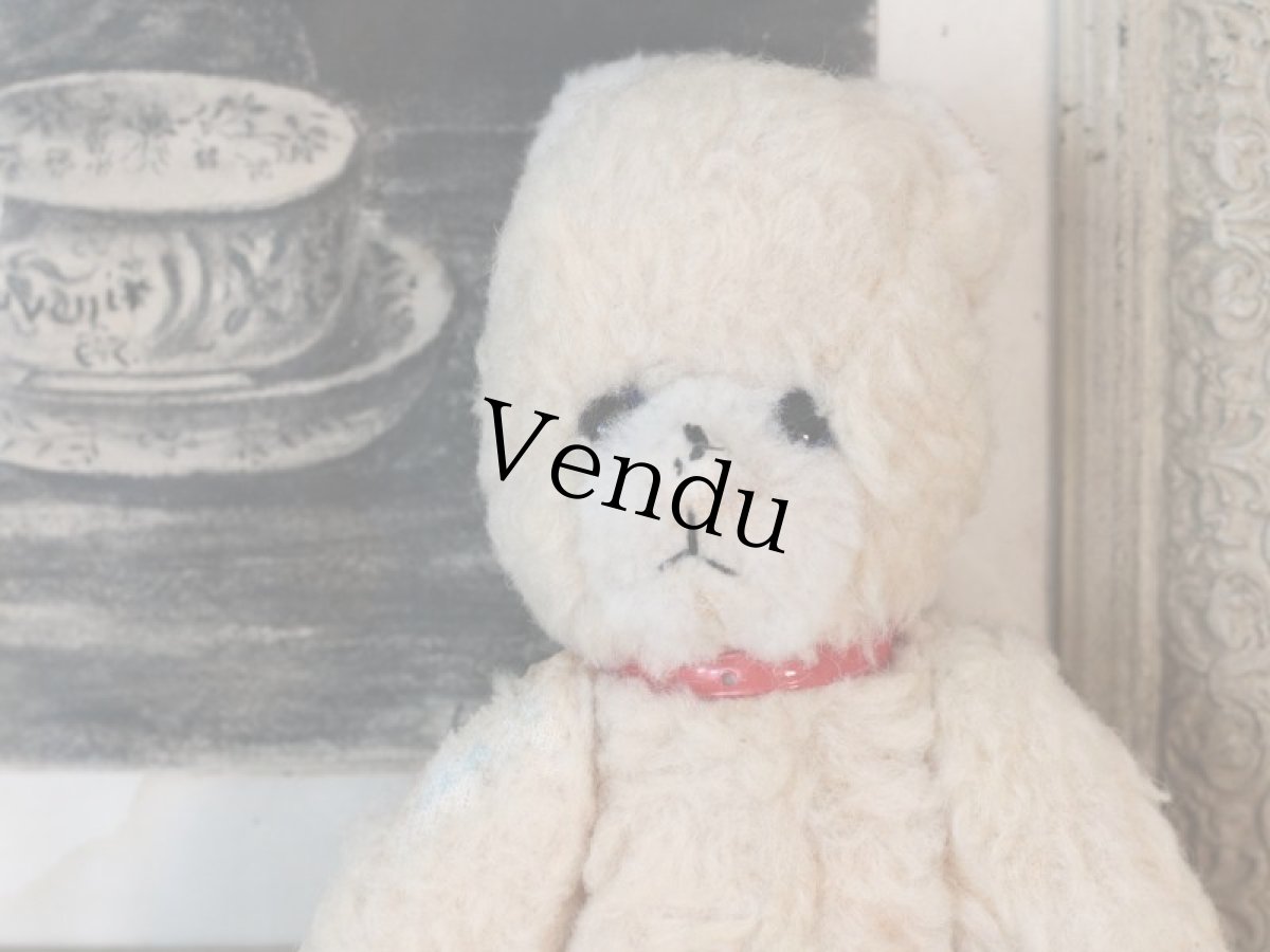 画像2: 赤い首輪のフレンチベア (2)