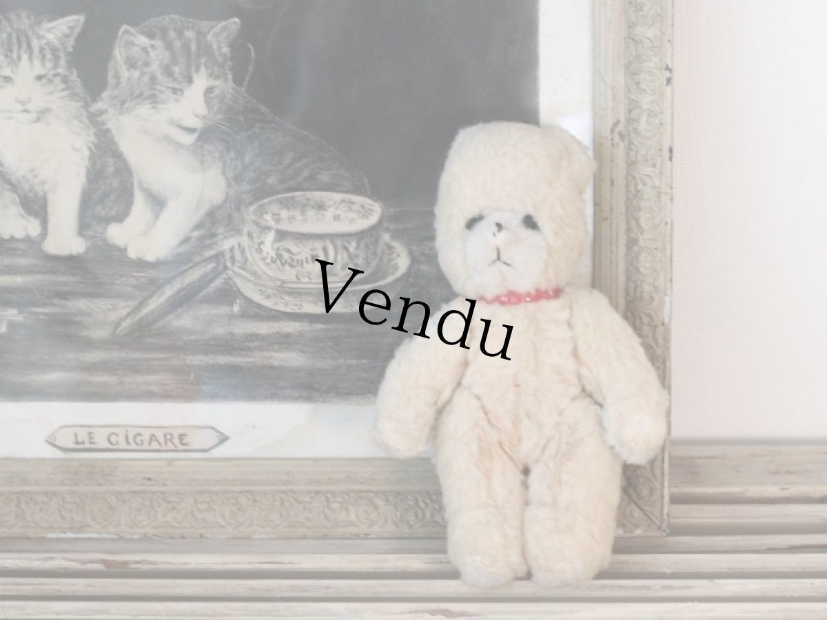 画像3: 赤い首輪のフレンチベア (3)