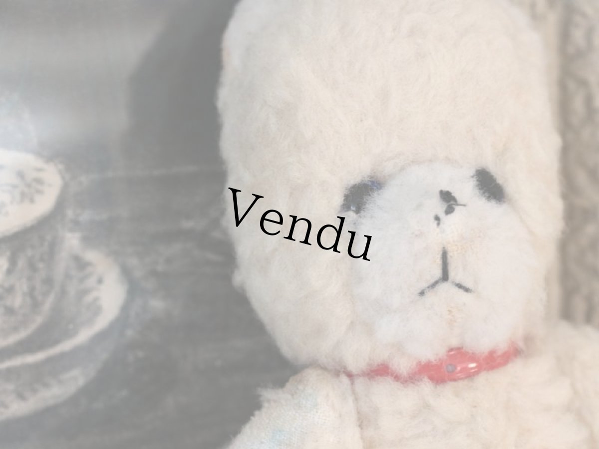 画像4: 赤い首輪のフレンチベア (4)