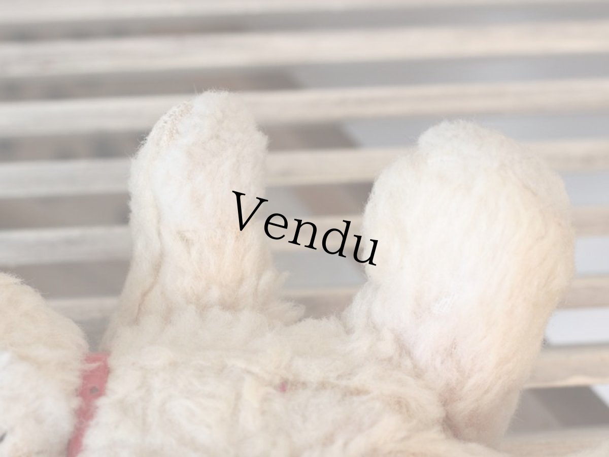 画像8: 赤い首輪のフレンチベア (8)