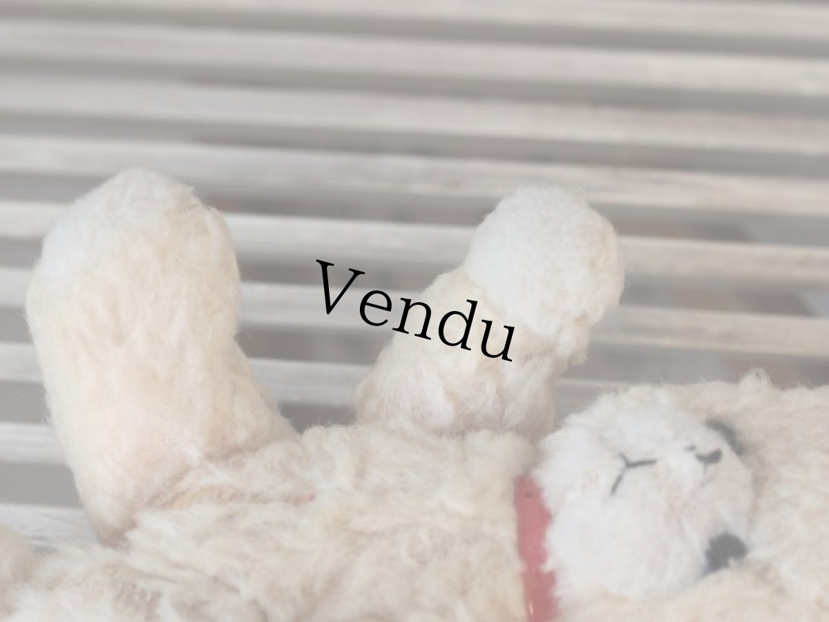 画像9: 赤い首輪のフレンチベア (9)