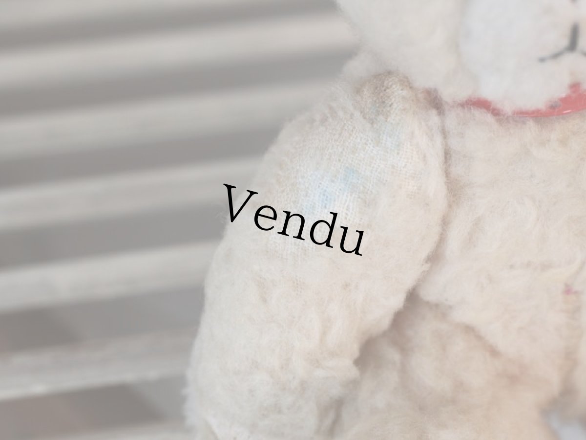 画像7: 赤い首輪のフレンチベア (7)