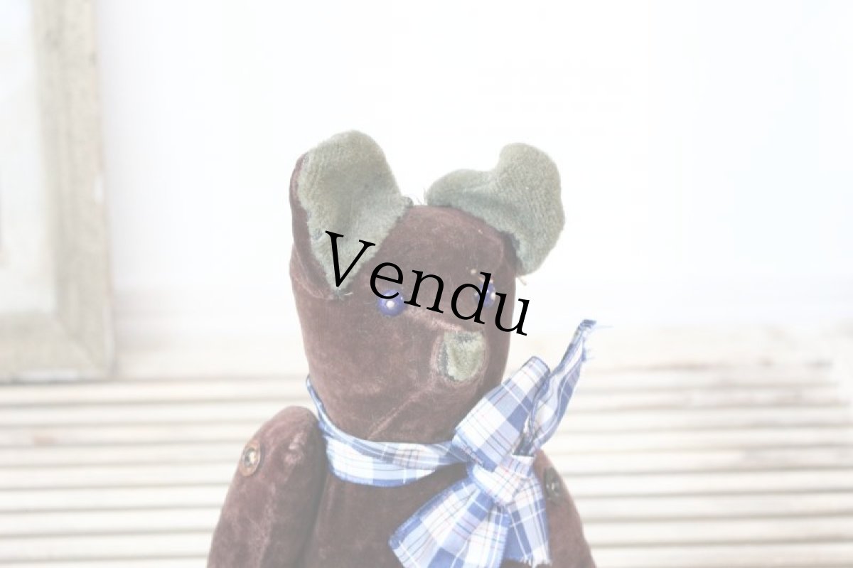 画像4: ブラウンのフレンチベア (4)