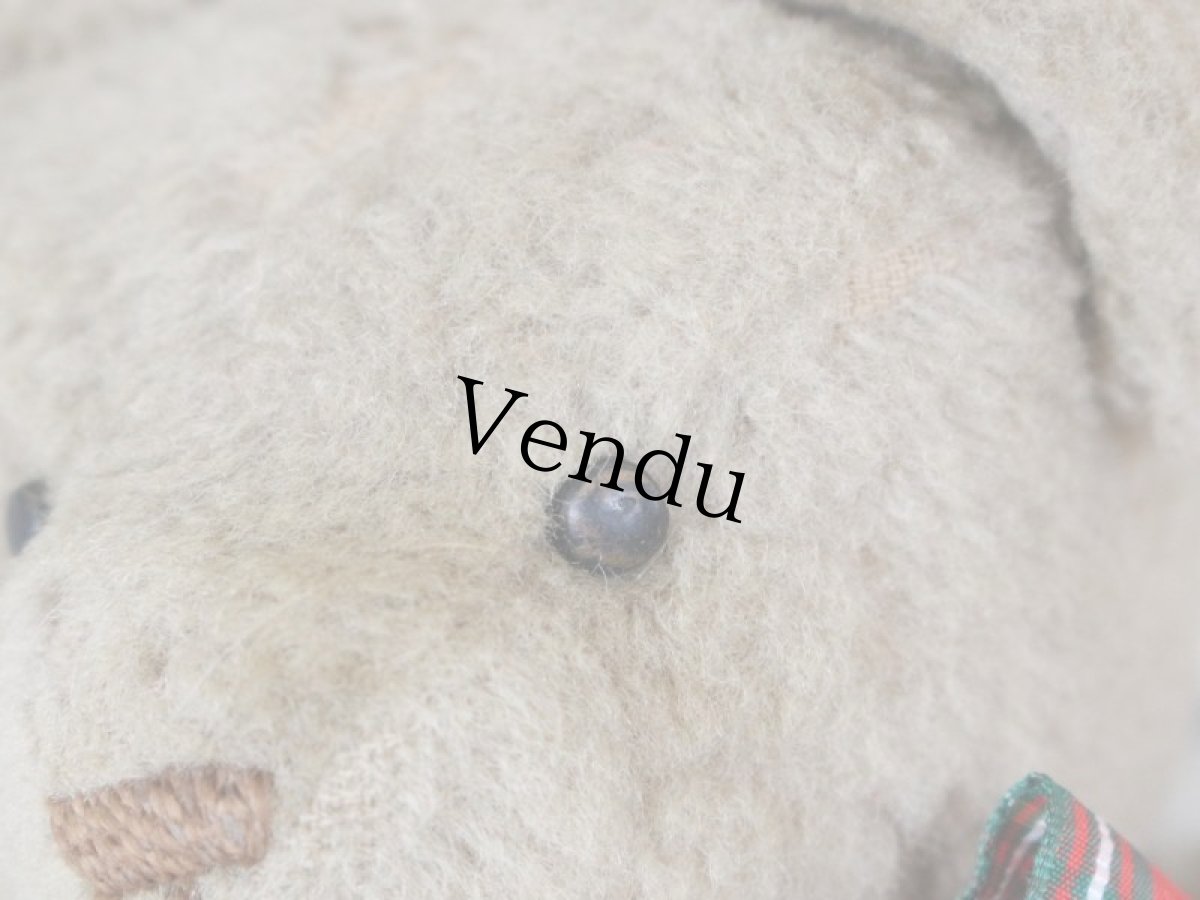 画像10: ベージュのフレンチベア (10)