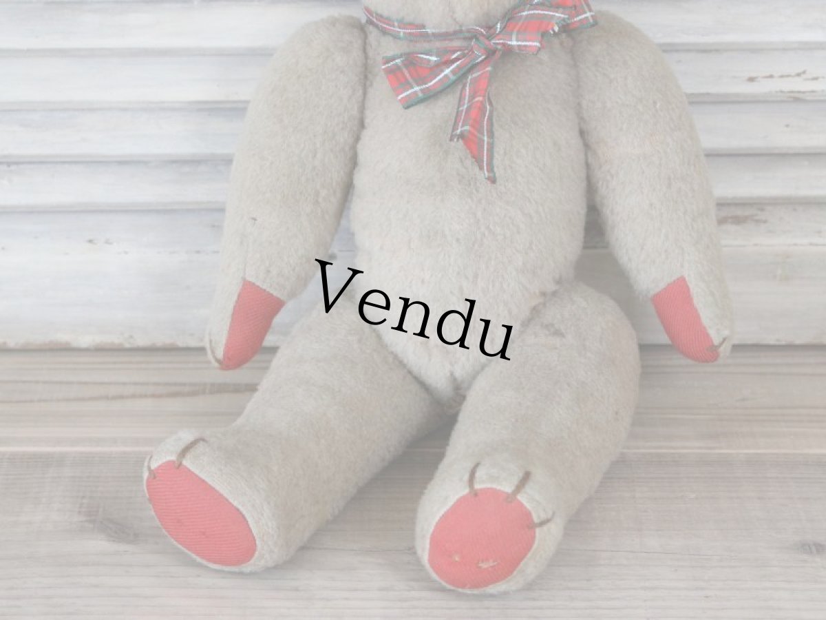 画像5: ベージュのフレンチベア (5)